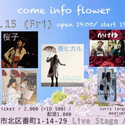 come info flower