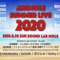 ANImole SUMMER LIVE 2020