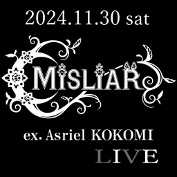 『WHO IS MISLIAR？』