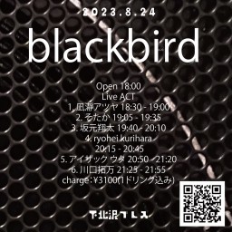 blackbird Vol.20