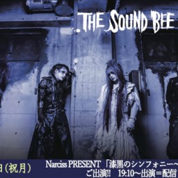 THE SOUND BEE HD Live配信