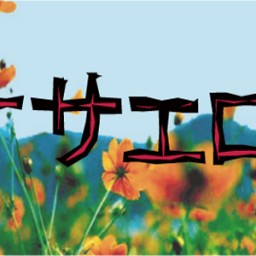 8/21月15:00 炎男vol.12『 オサエロ 』B班 配信