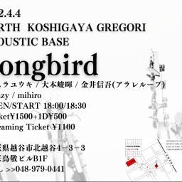 2022.4.4【Songbird】
