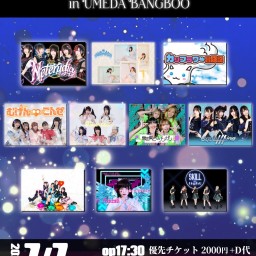 ネテルダイヤpre.
【Diamond Polishers】 250707