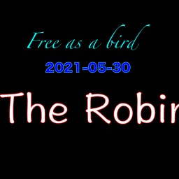 「The Robin」Live 2021-05-30