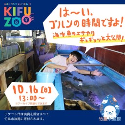 KIFUZOO竹島水族館「はーい！ゴハンの時間ですよ！」