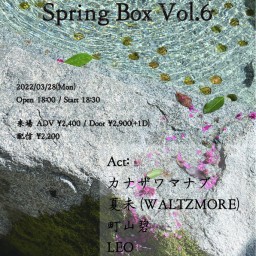 Spring Box Vol.6