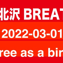 2022-03-01 free as a bird
