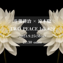 TWO PEACE lab.#29