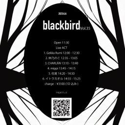 blackbird Vol.35