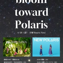 【NEW POLARIS】水槽とクレマチスpre.「bloom toward Polaris」