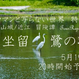 カメラマンと写らない世界 特別編 美濃/山城/近江 冒険譚 Tour Report
