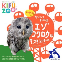 KIFUZOOおびひろ動物園「エゾフクロウ編」