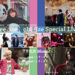FreeSizeMobiLize Special Live