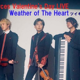 sources Valentine's Day LIVE ～ Weather of The Heart