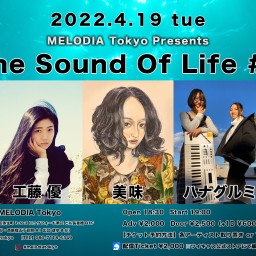 【The Sound Of Life #4】