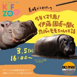 KIFUZOO長崎バイオパーク「29歳！カバのモモちゃん」