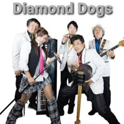 Diamond Dogs Live8.25