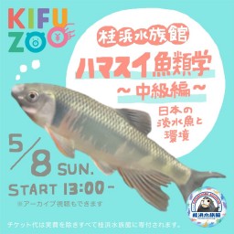 KIFUZOO桂浜水族館「ハマスイ魚類学〜中級編〜」
