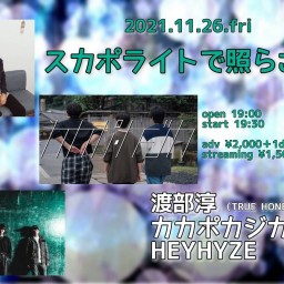 【11/26 カカポ/HEY/渡部】