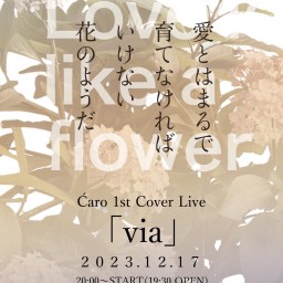 Ćaro 1st Cover Live 「via」