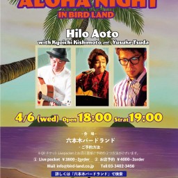 ALOHA NIGHT Hilo Aoto 