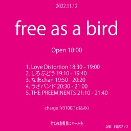 2022-11-12 （夜）free as a bird