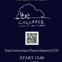 COLLAPSE-Streaming One Man Gig-