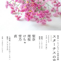 梨奈 × りっちゃん 共同企画 【 スターチスの花束を 】