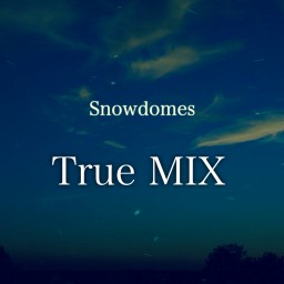 Snowdomes - True MIX