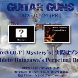 1/24 GUITAR GUNS