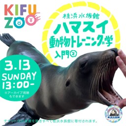 KIFUZOO桂浜水族館「ハマスイ動物トレーニング学入門②」