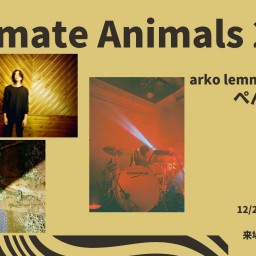 24/12/27『Ultimate Animals 2』