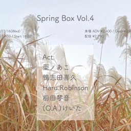 Spring Box Vol.4