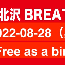 2022-08-28（昼）  Free as a bird