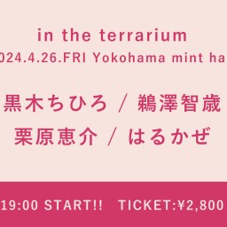 【2024/4/26】 in the terrarium
