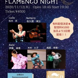 11月12日(木) Flamenco Night 56th