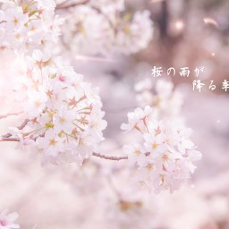 無観客プレミア配信ワンマンライブ〜桜の雨が降る季節に〜