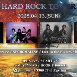 4/13 HARD ROCK TOWER