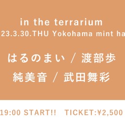 【2023/3/30】in the terrarium
