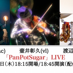 「PanPotSugar」LIVE