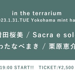 【2023/1/31】in the terrarium