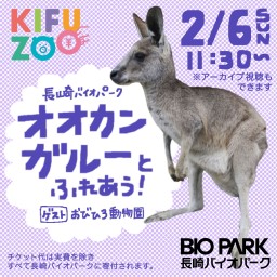 KIFUZOO長崎バイオパーク「オオカンガルーとふれあう！」