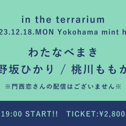 【2023/12/18】in the terrarium