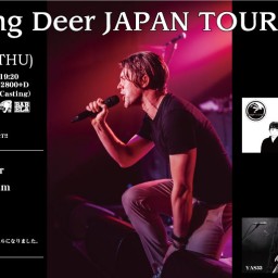 4/11 Chasing Deer JAPAN TOUR 2024
