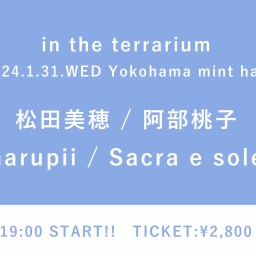 【2024/1/31】in the terrarium