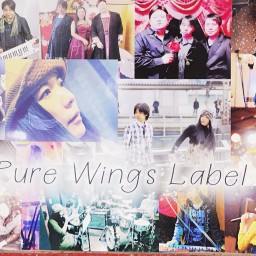 Live Pure Wings 8.19