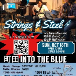 Strings & Steel