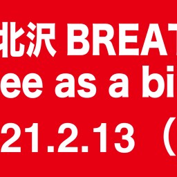 2021-02-13（昼） Free as a bird