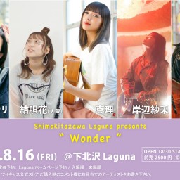 『Wonder』2024.8.16